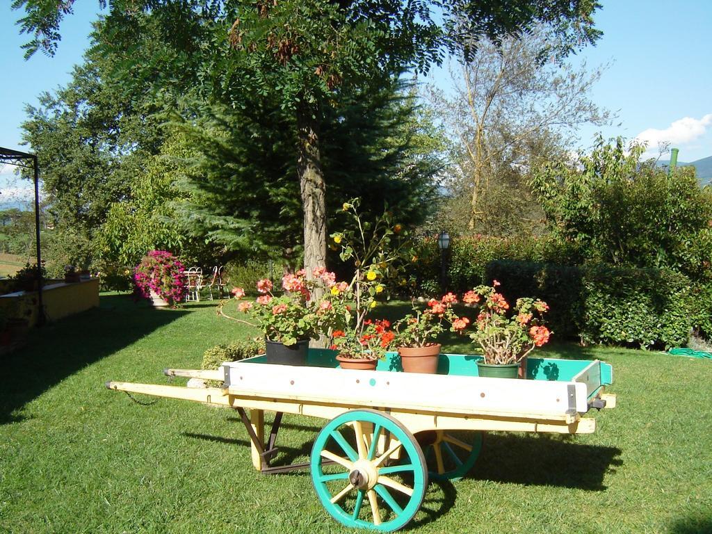 B&B Casale Ginette Incisa in Val d'Arno Exterior photo